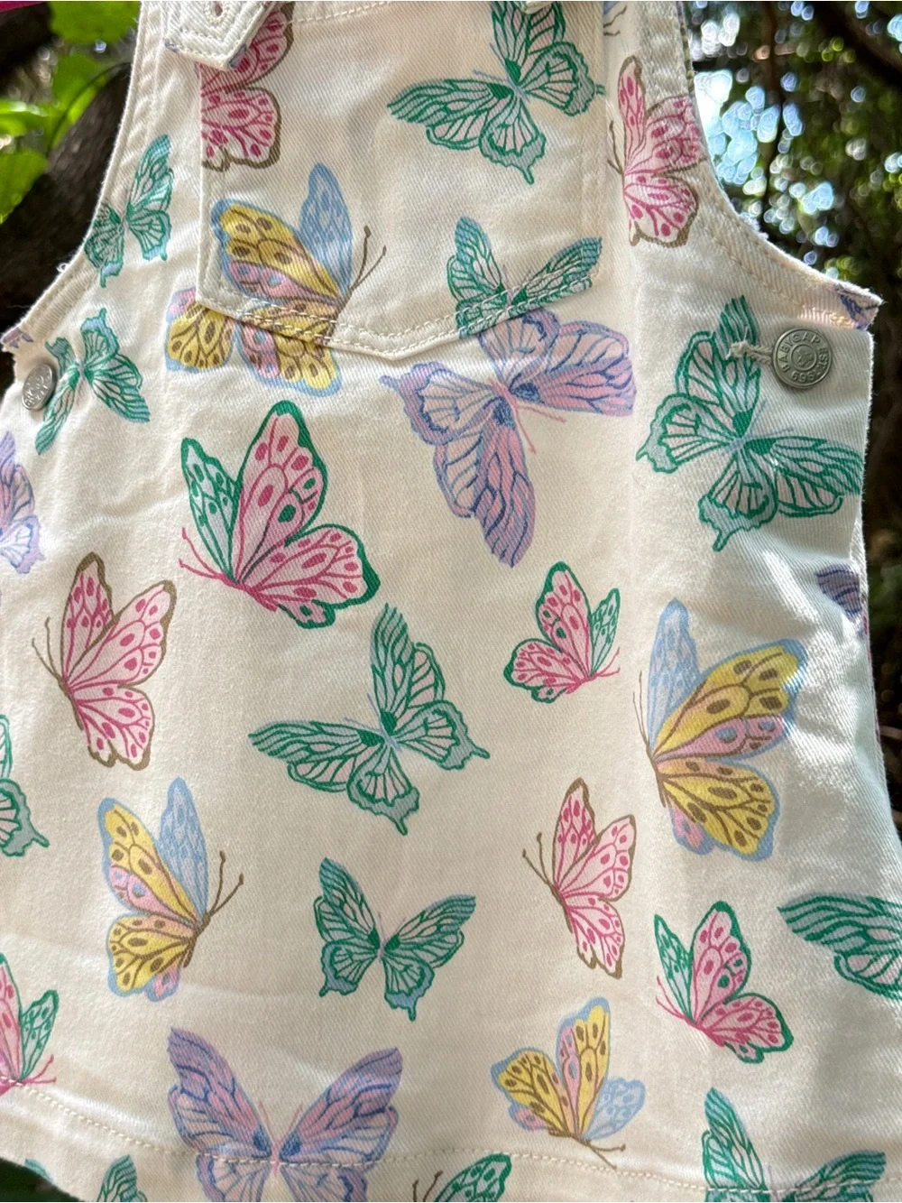 Baby Gap Butterfly Bliss Overall Dress